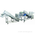Vegetable Cutting and Dicing Line (QCL)